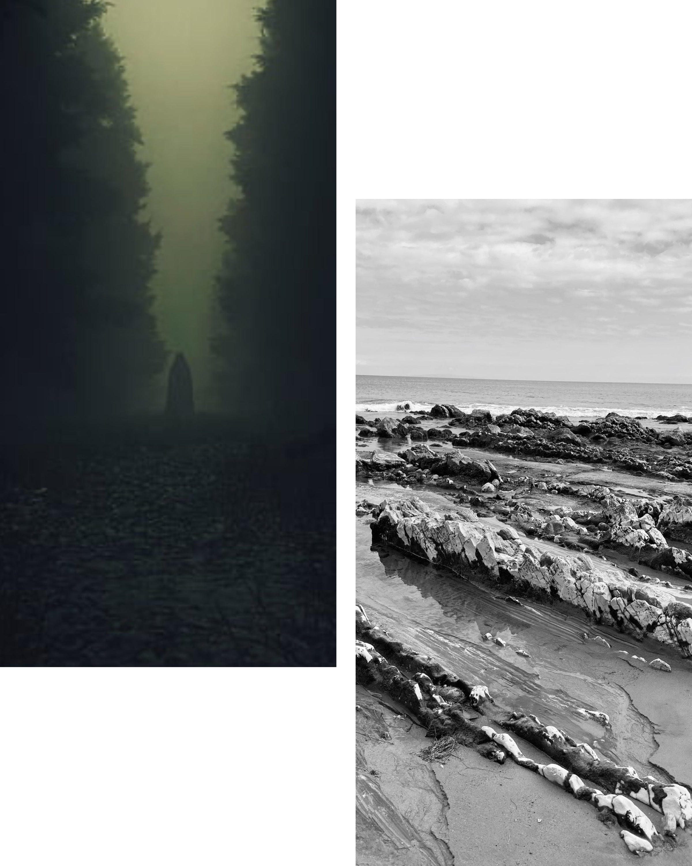 NEW colors in our merino polos, turtlenecks and mock neck tees!